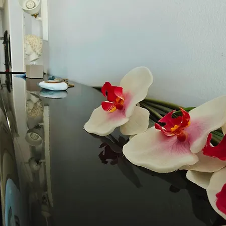 Vintage Art On The Sea 아파트 테살로니키
